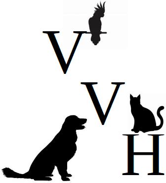 village vet canastota.